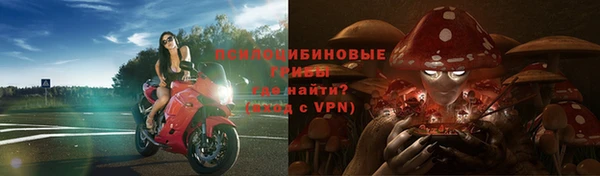 тгк Алексин