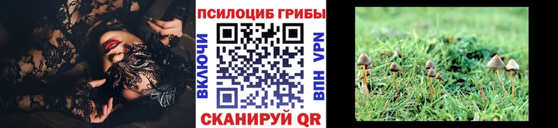 Псилоцибиновые грибы GOLDEN TEACHER  цена   Красноармейск 